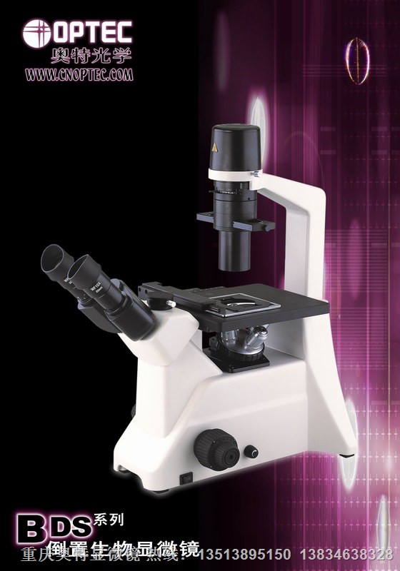 供应BDS200系列倒置相差显微镜